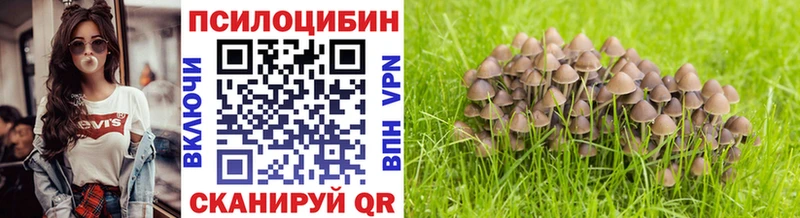 кракен онион  Пикалёво  Галлюциногенные грибы GOLDEN TEACHER 