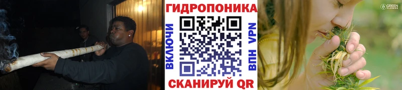 Марихуана Amnesia  дарнет шоп  Пикалёво 